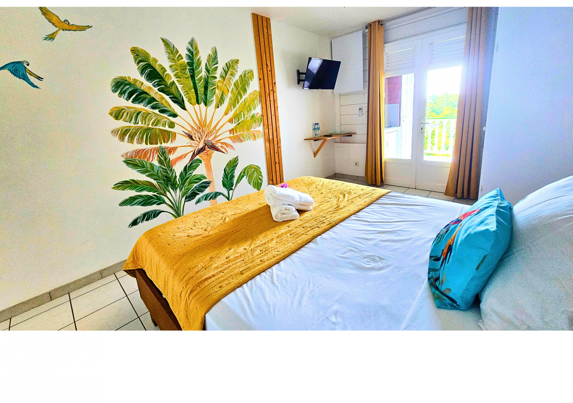 Studio double vue jardin